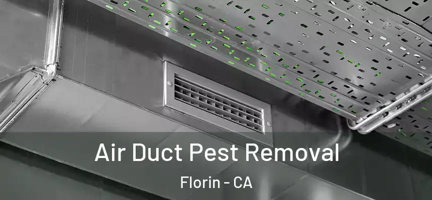 Air Duct Pest Removal Florin - CA