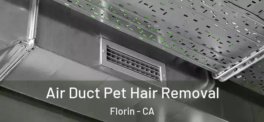  Air Duct Pet Hair Removal Florin - CA