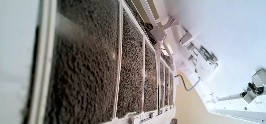 Preventive Air Duct Bacteria Removal in Florin