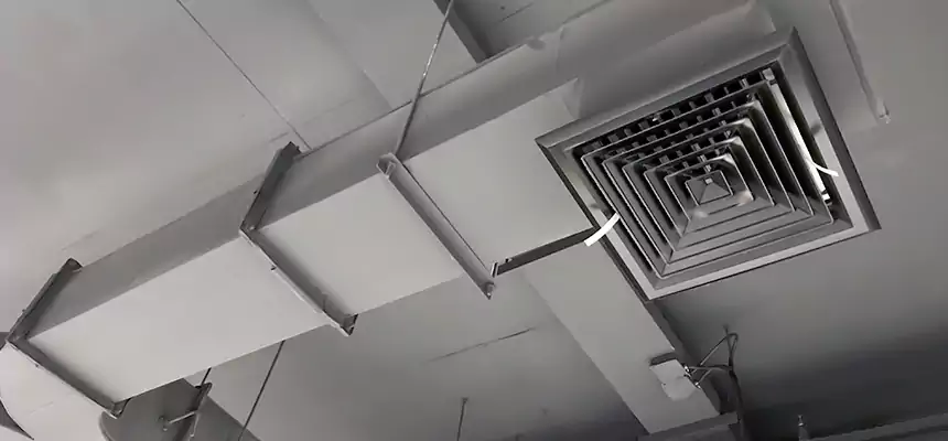 Restorative Allergy Relief Vent Cleaning – Coil, Blower & Housing Detail in Florin