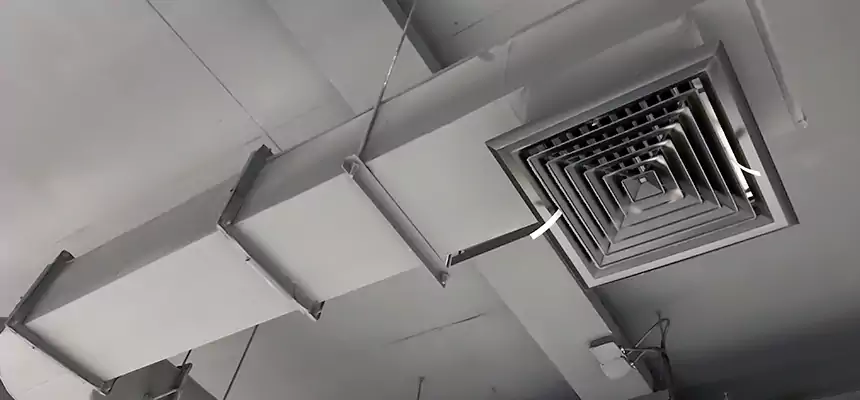 Our Pest Removal From Ducts Services in Florin, CA