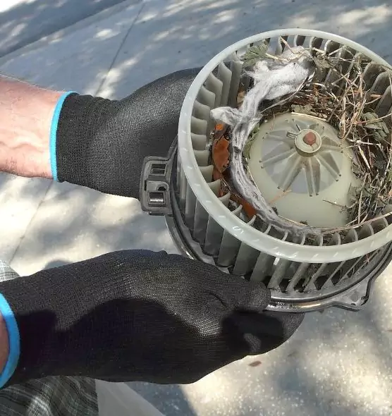 About Air Duct Mice Removal in Florin, CA