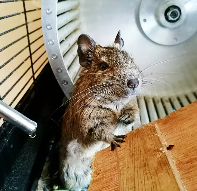 Why Homeowners & Businesses Trust Us Florin, CA