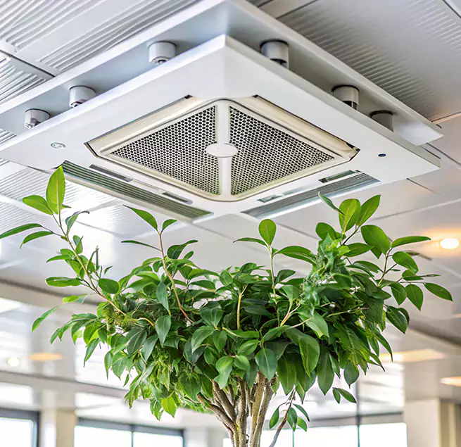 Why Homeowners & Businesses Trust Us in Florin, CA